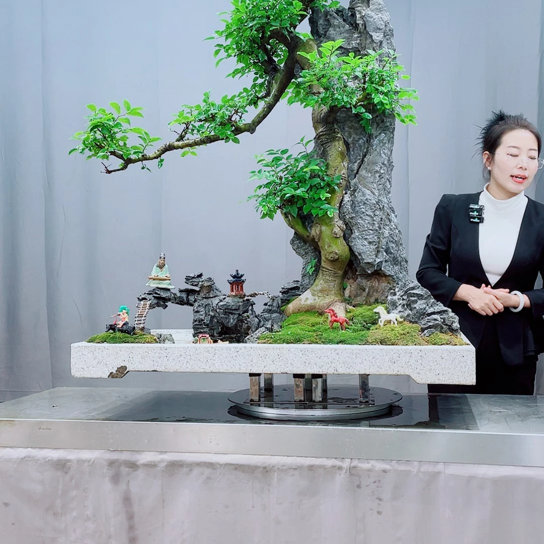 用***6无花朵岭南岭南文化艺术中心的