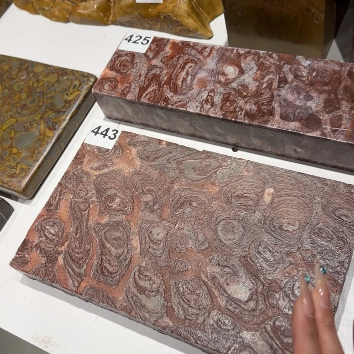 11111111111伊**妞1111111441