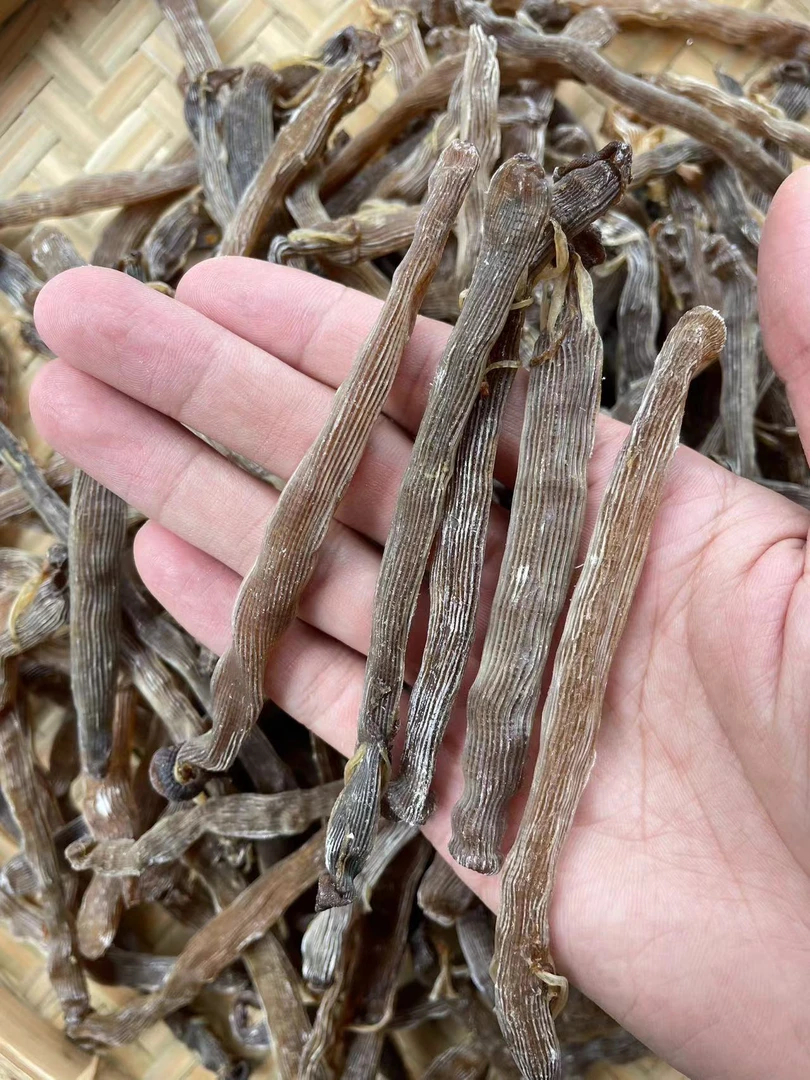 北海灰沙虫干 天然生晒 原色无添加 足干淡干 无沙 海产干货