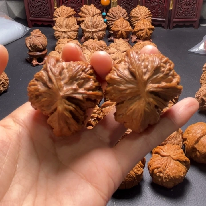 白狮子两棱挂角43尺寸核桃哈哈哈哈哈