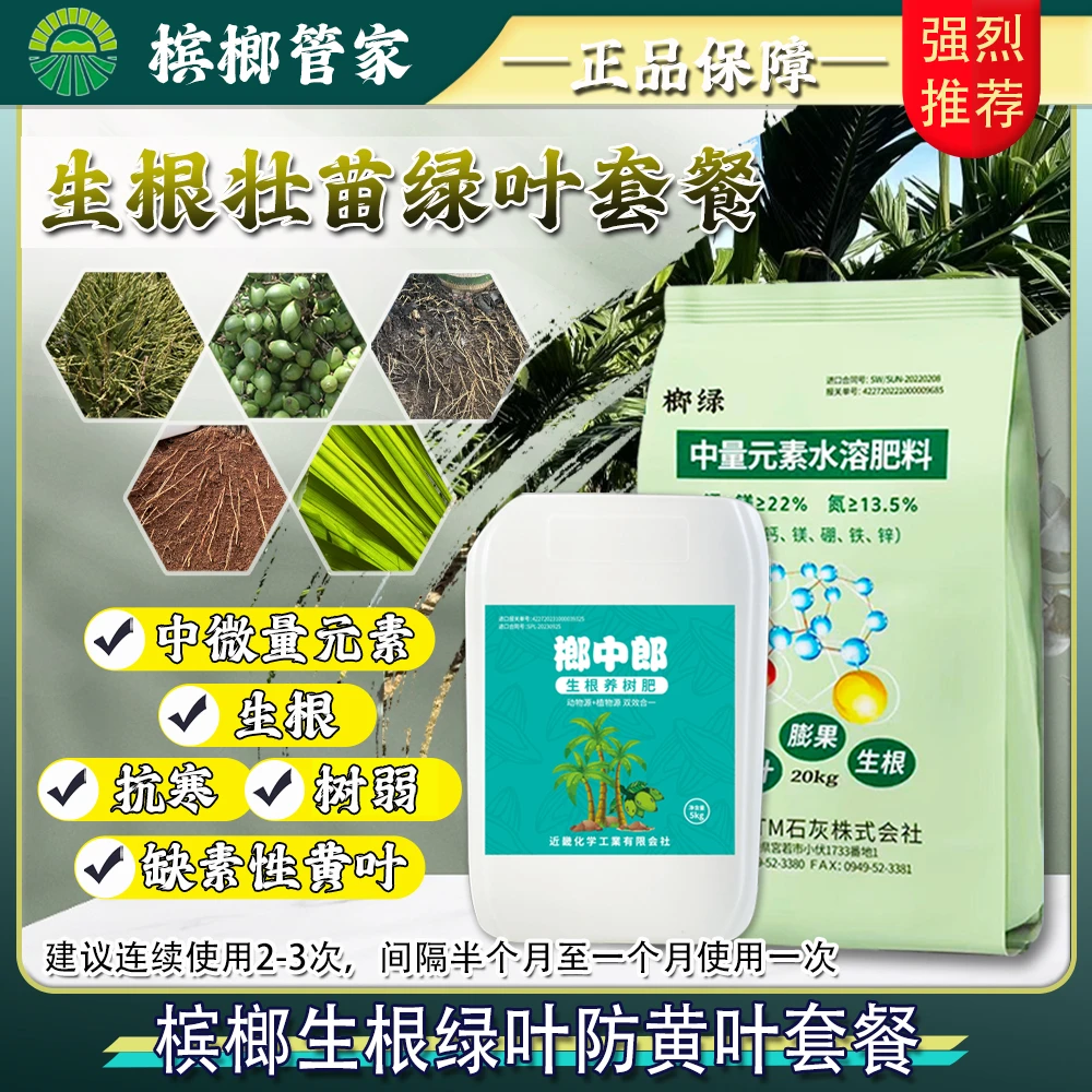 槟榔生根绿叶防黄叶套餐槟榔管家
