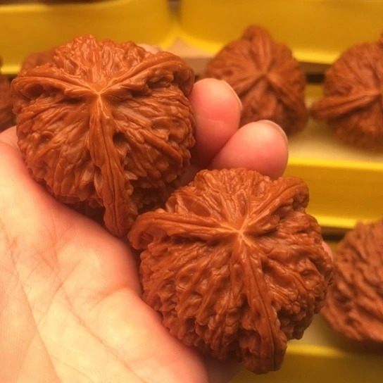 (***)核桃核桃核桃核桃核桃
