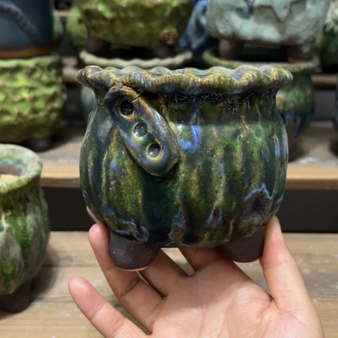 特价多肉花盆百搭