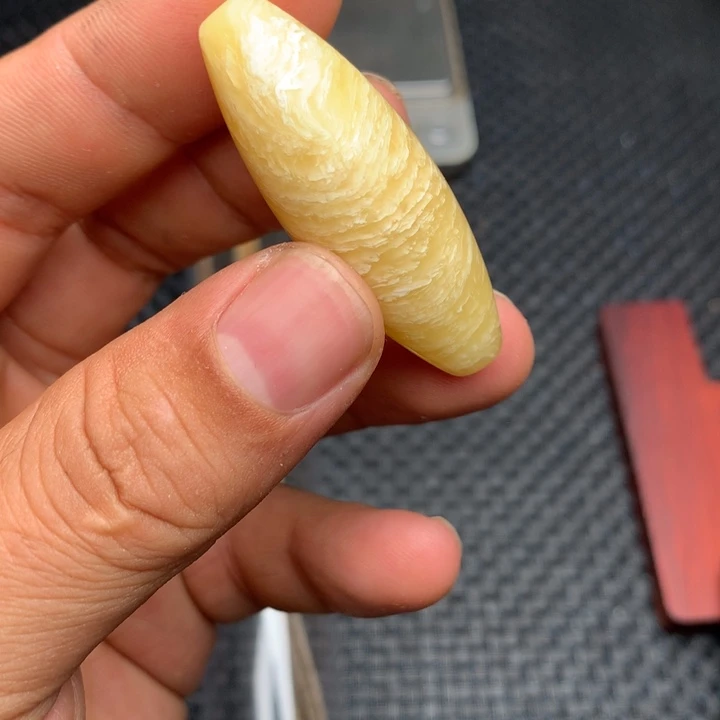 大果紫檀（缅甸花梨）