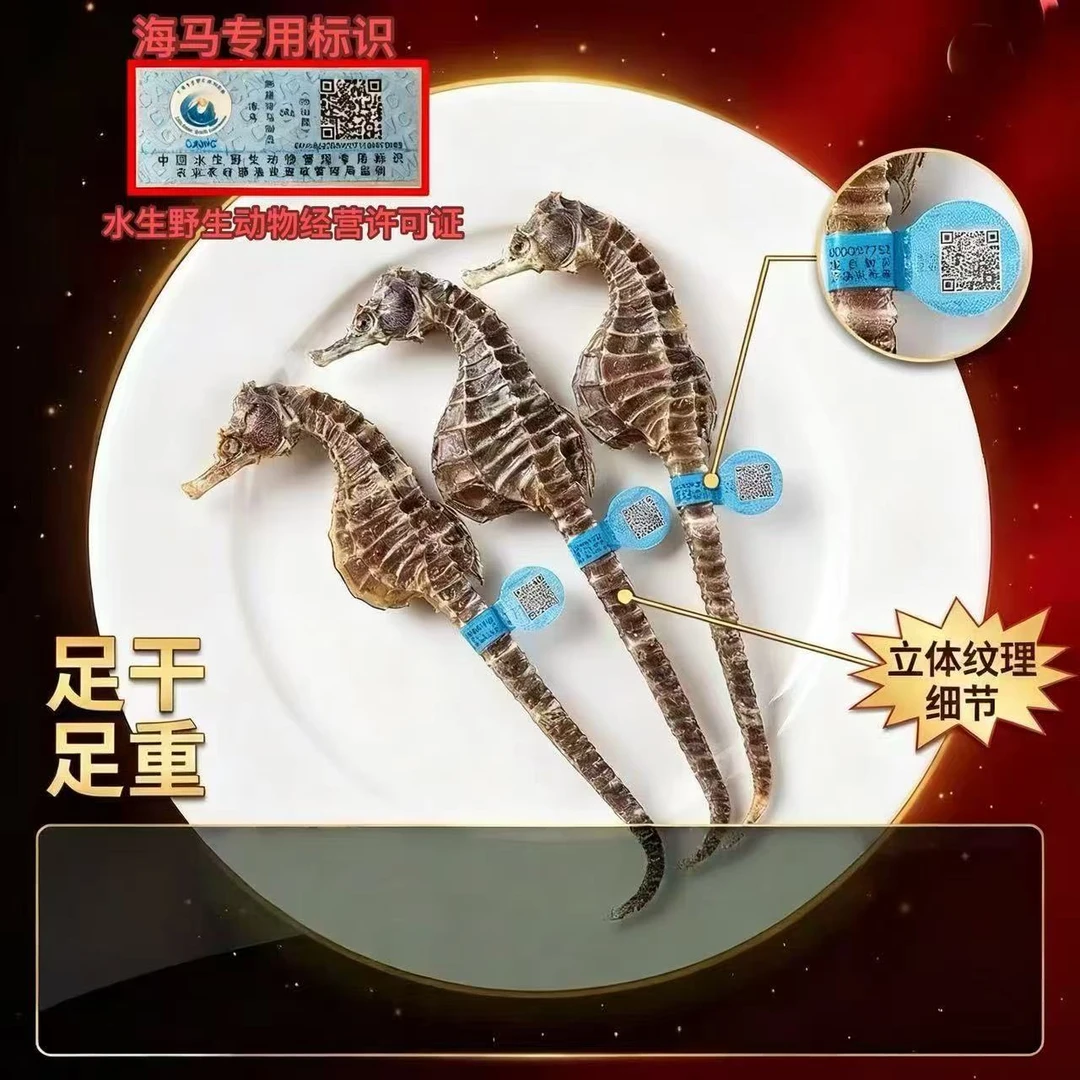 正品带溯源码海马干货公母配对煲汤泡酒专用假一罚十可试吃两条