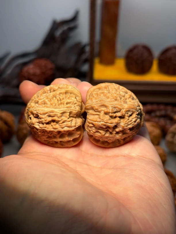 文玩核桃-延庆三角白狮子！！各种尺寸都有