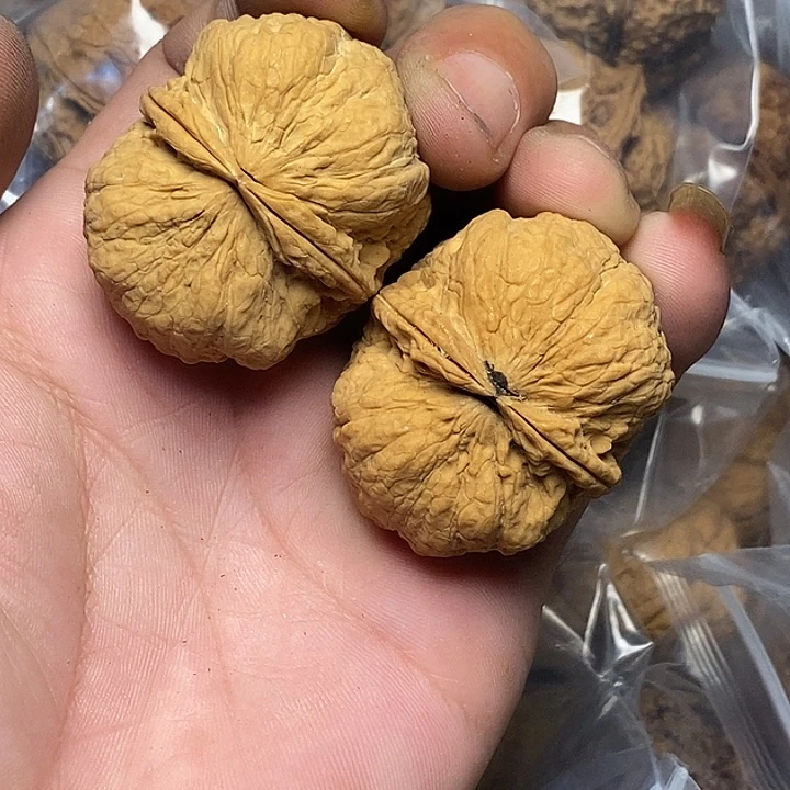 把件文玩核桃云南铁核桃60