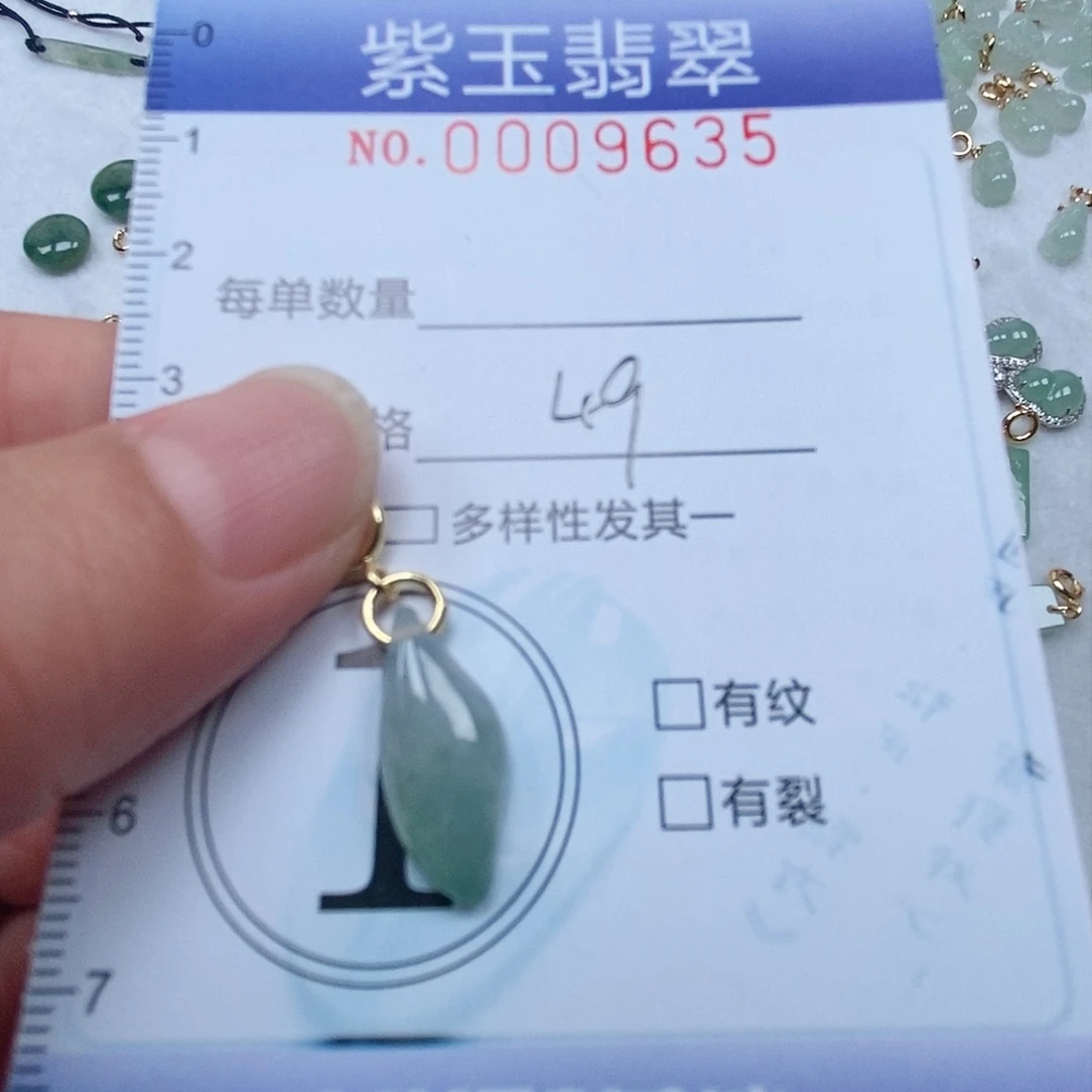 翡翠未镶嵌颈饰我****颖冰透随行