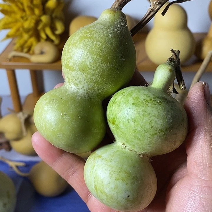 顶***上葫芦手把件摆件葫芦