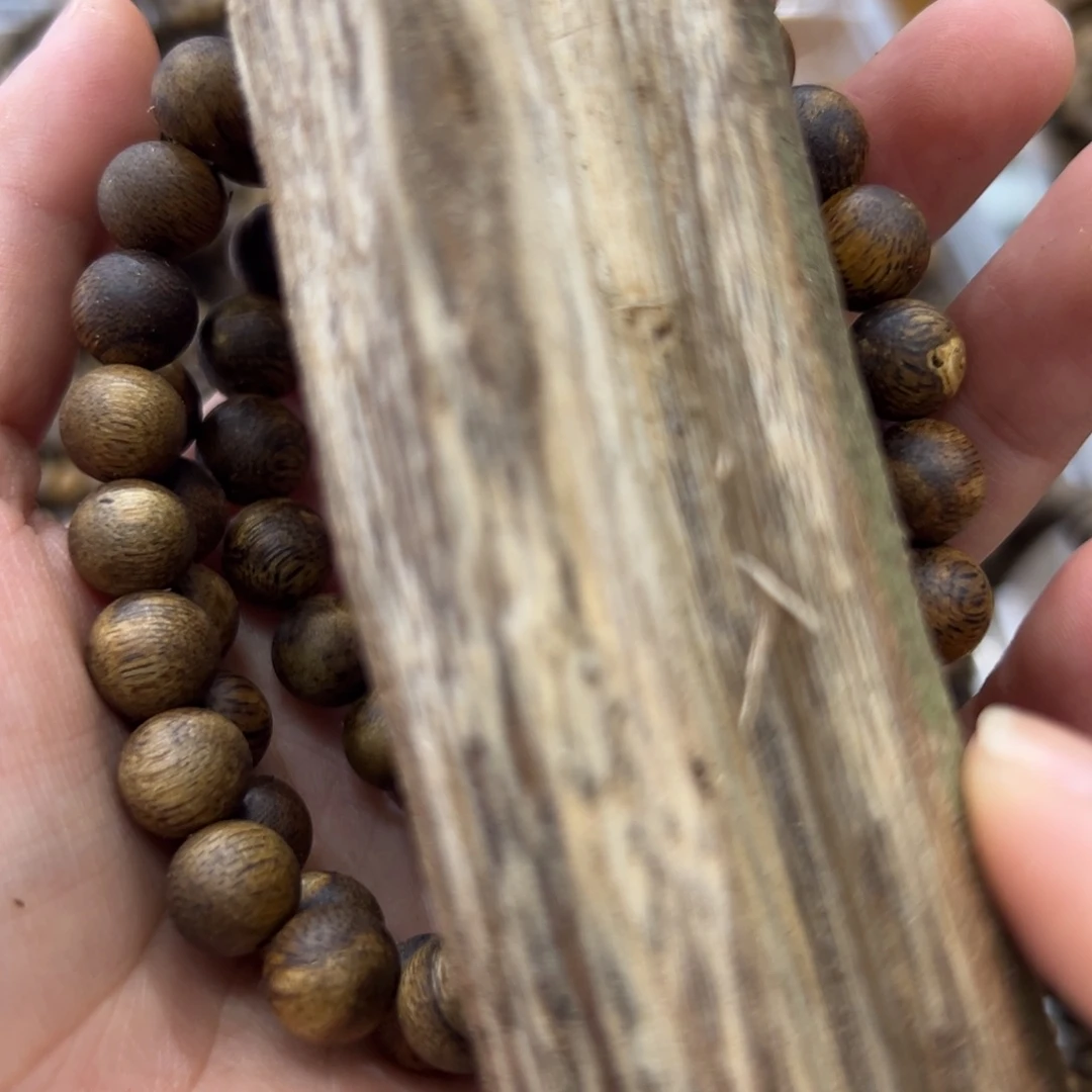 香榧木海南木料种植绿奇卡9单圈5克➕多样性发1