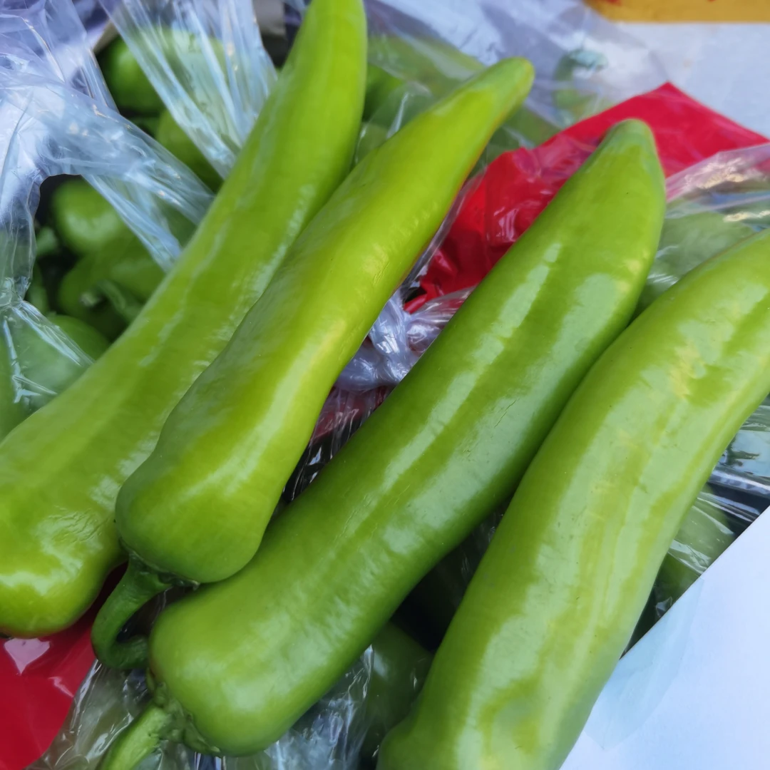 生鲜大青椒一斤装