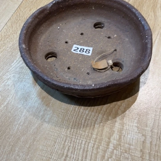 D***e288//////////////////