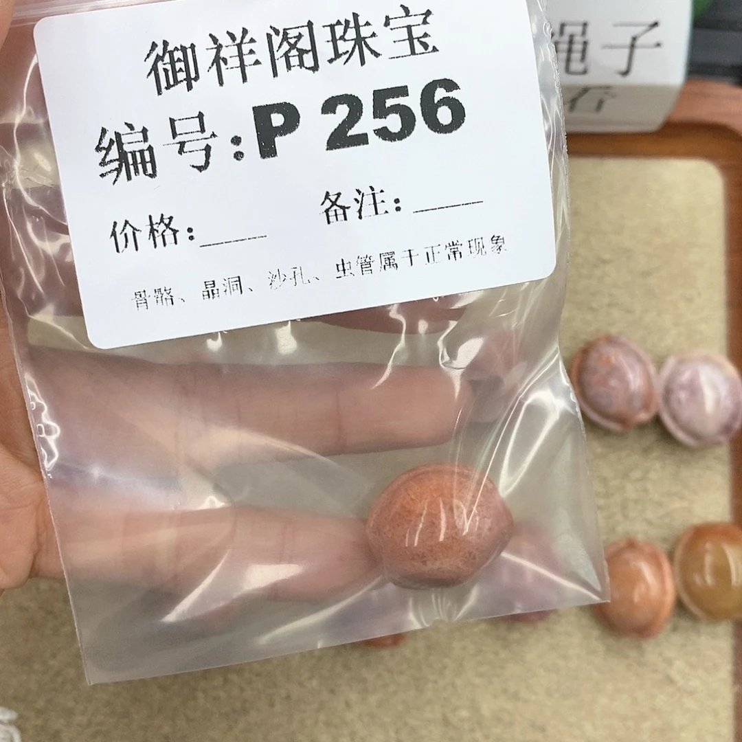 硅化珊瑚（珊瑚玉）P未镶嵌T***a