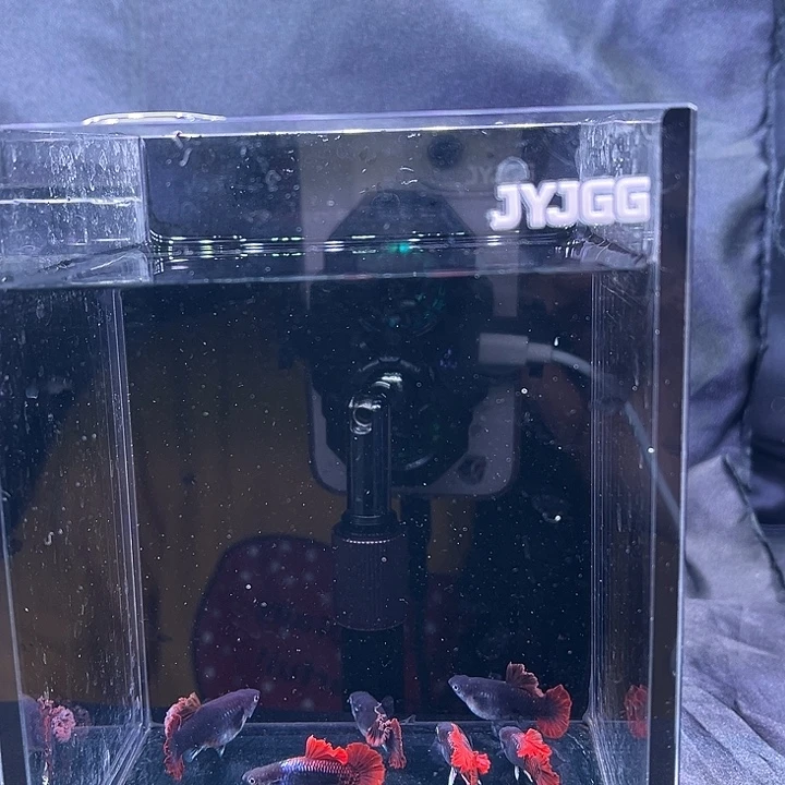 孔雀鱼爆绒折扇1对