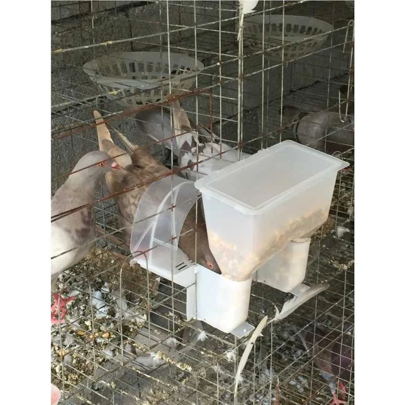 鸽用自动食槽食盒料盒料槽料盆单自动食槽鸽笼鸽子用品用具