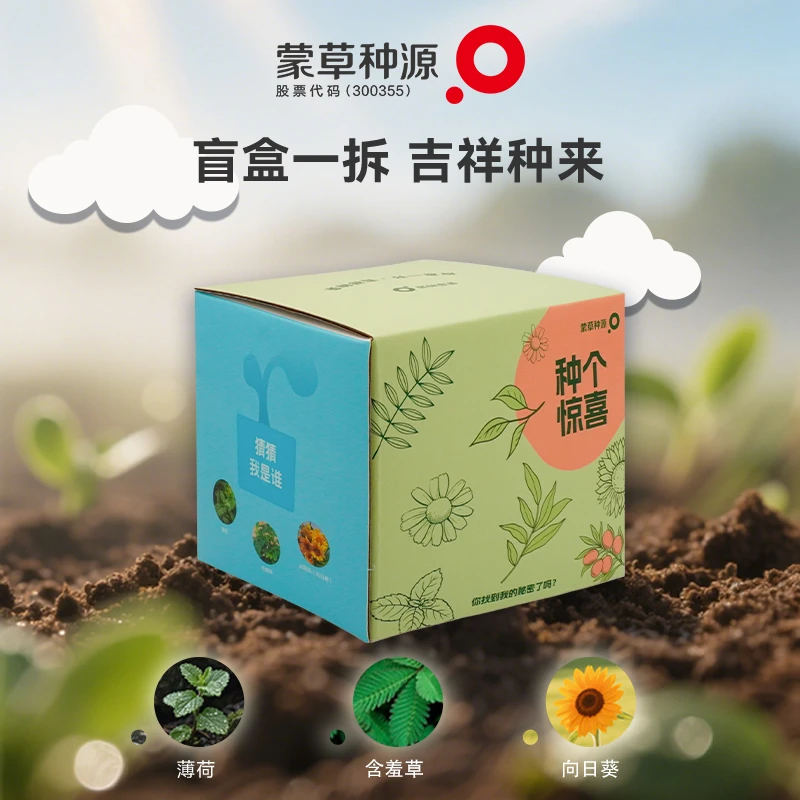 蒙草种源绿植园艺室内净化空气美观高颜值桌面花卉绿植盆栽送礼