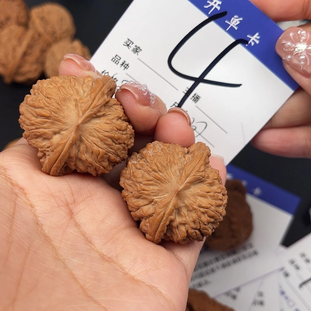 桃核吊坠全品龙珠37尺寸y