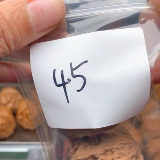 桃核吊坠八*～45磨盘狮子头