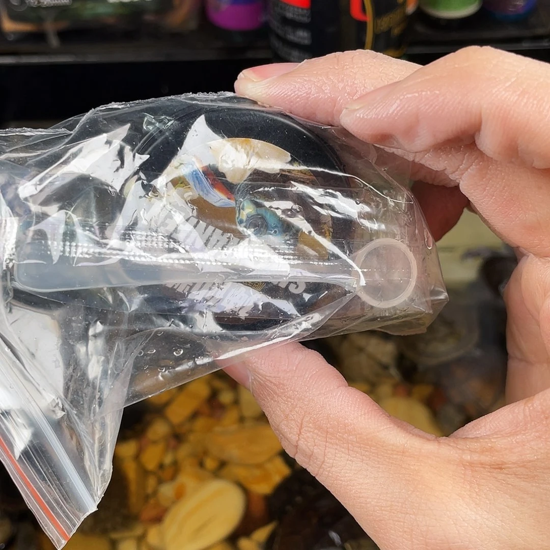 绿毛龟母是点点滴滴的订单