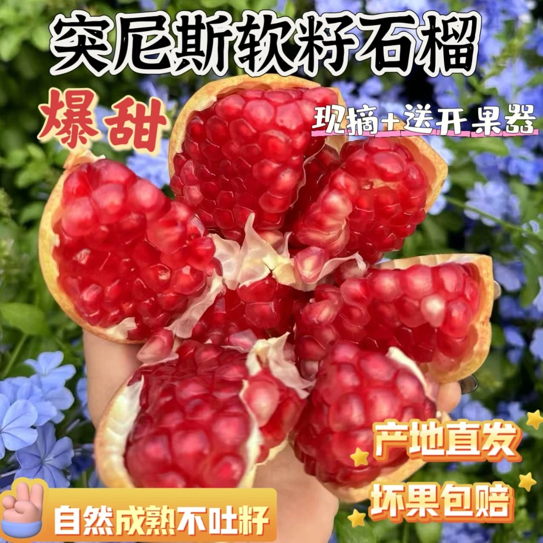 四川高山老树软籽石榴纯甜应季水果产地直发1