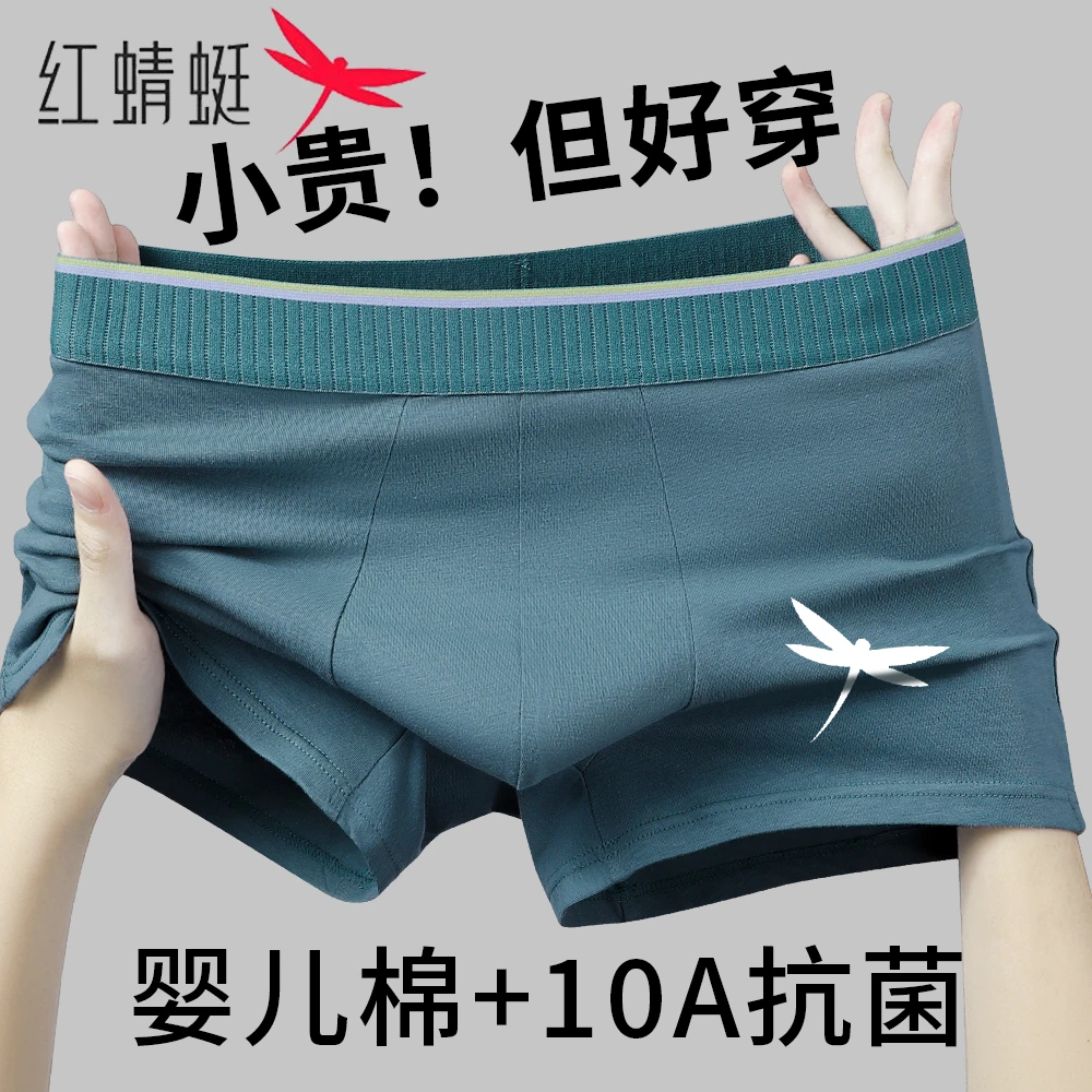红蜻蜓男士内裤男款纯棉抗菌2025新款100%全棉裆平角裤四角短裤头