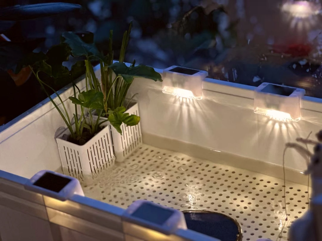 龟箱太阳能氛围灯（一套4个灯）