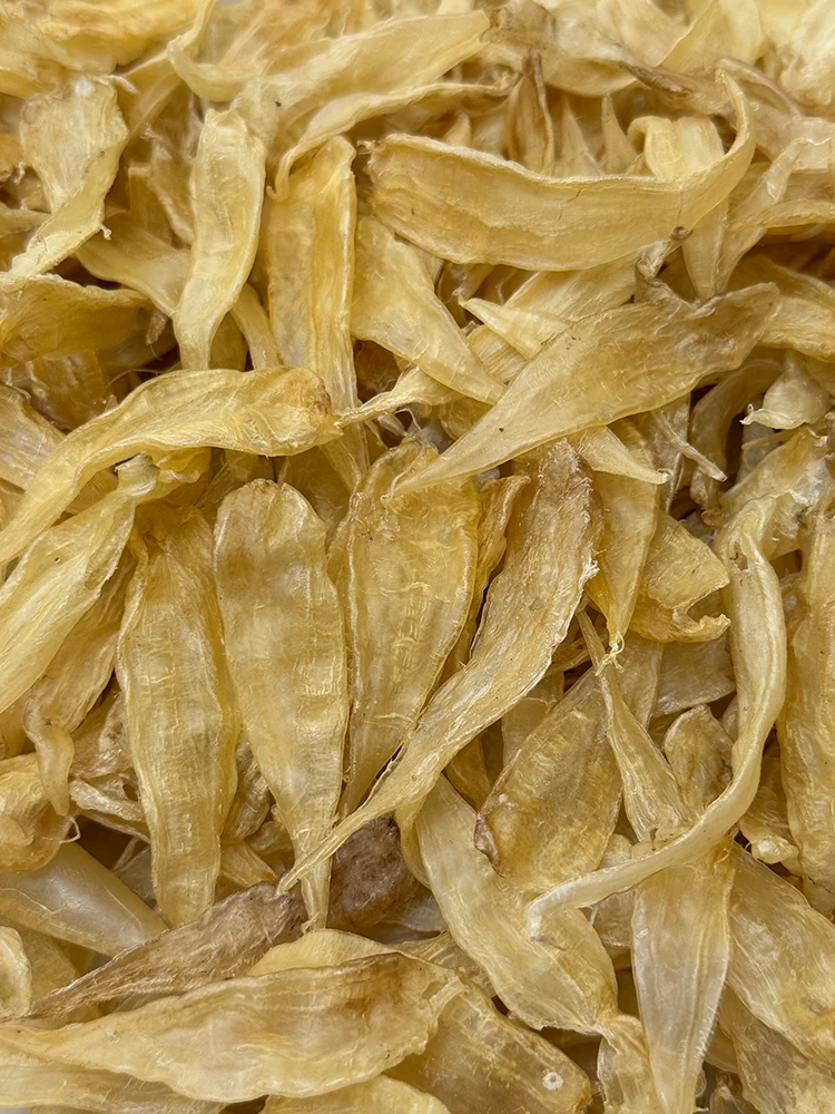 430头豆仁胶（豆仁公胶）鱼胶花胶干货鱼鳔低腥味煲汤清水无添加