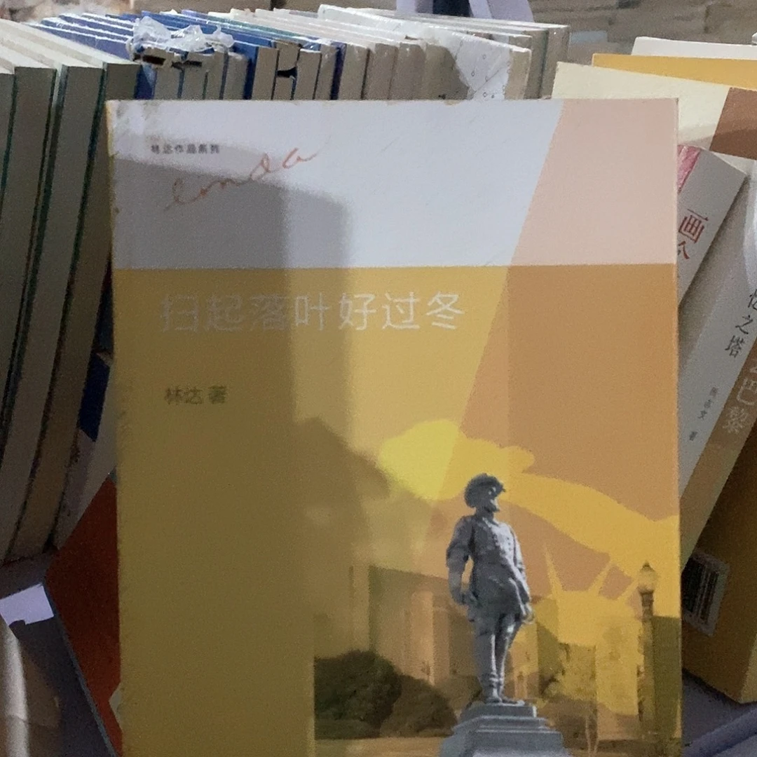 瑕疵 扫起落叶好过冬
