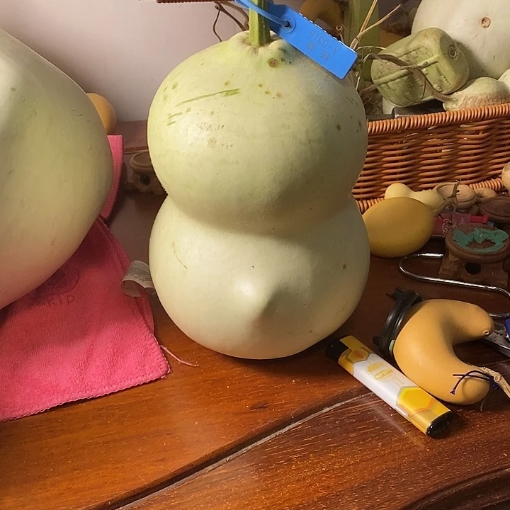 p***n青皮中号财包葫芦摆件