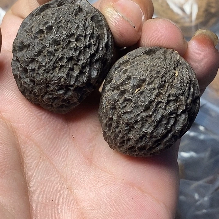 文玩核桃把件云南铁核桃99号34mm