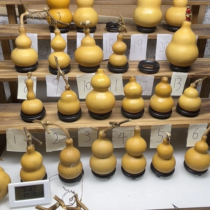 0***0啦啦啦啦啦啦啦啦啦啦