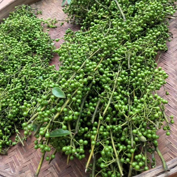 （湘西农仓）新鲜青花椒无硫熏可作家用调料