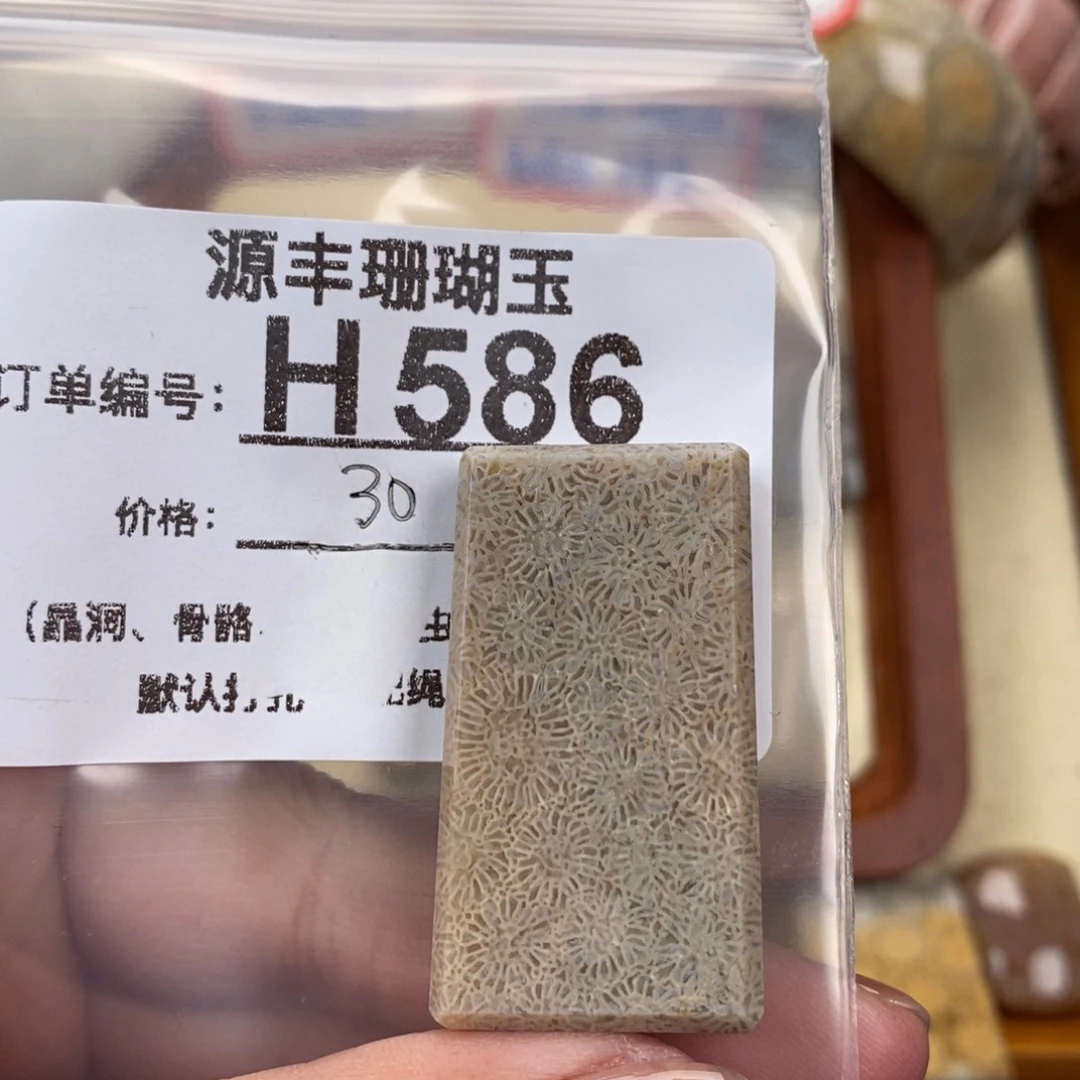 硅化玉颈饰未镶嵌墨*山