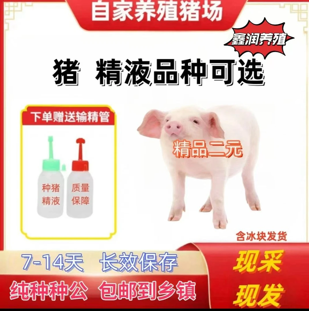 二元种公精液一件包邮包对版生态养殖批发输精管猪用耗材