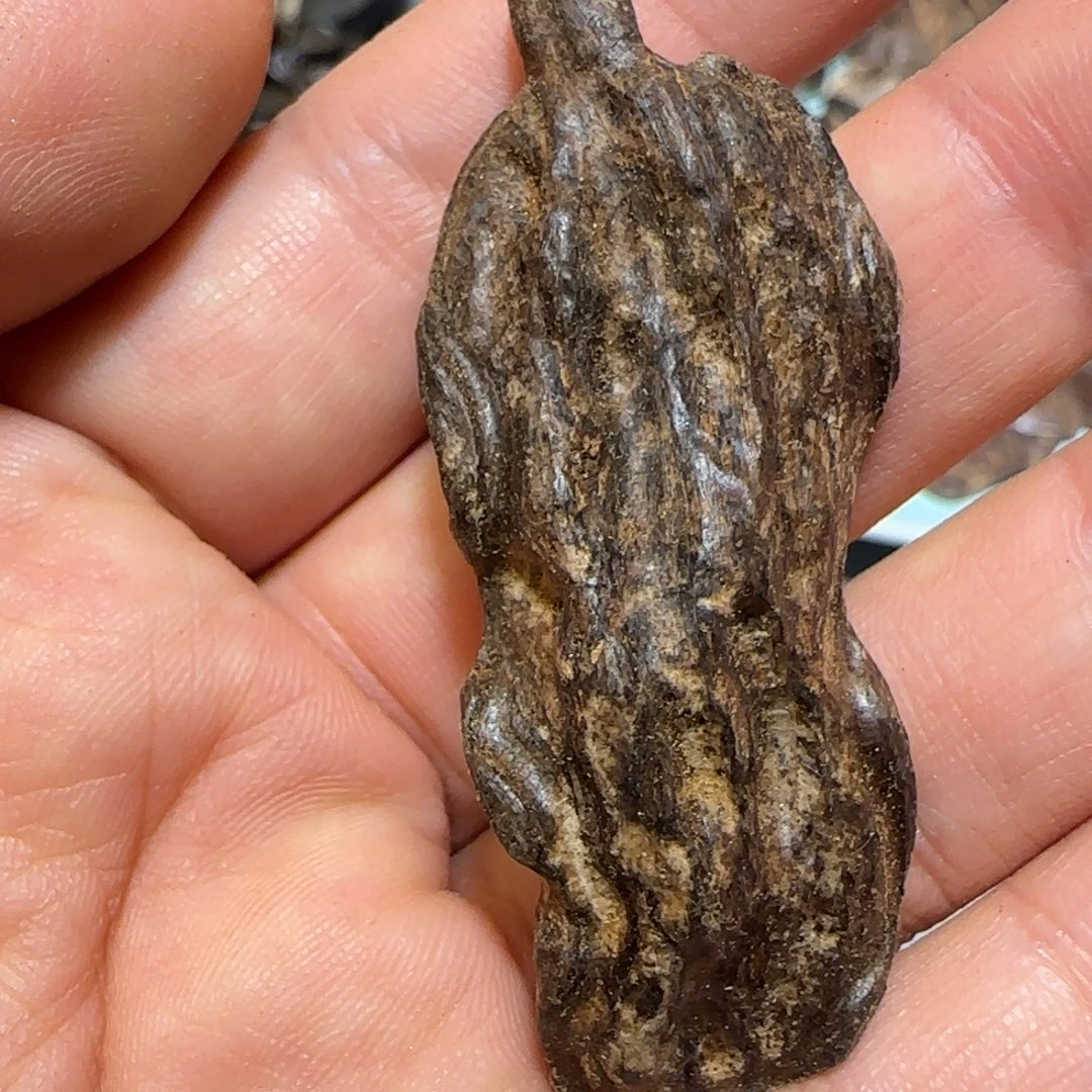 沉香碎屑沉香4.05克坤松黑奇