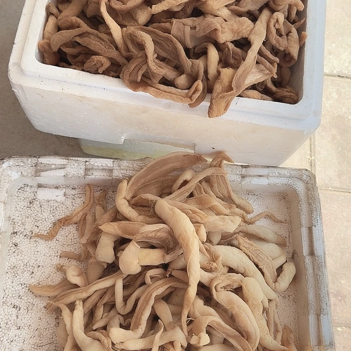 中国大陆新萝卜干三斤袋装