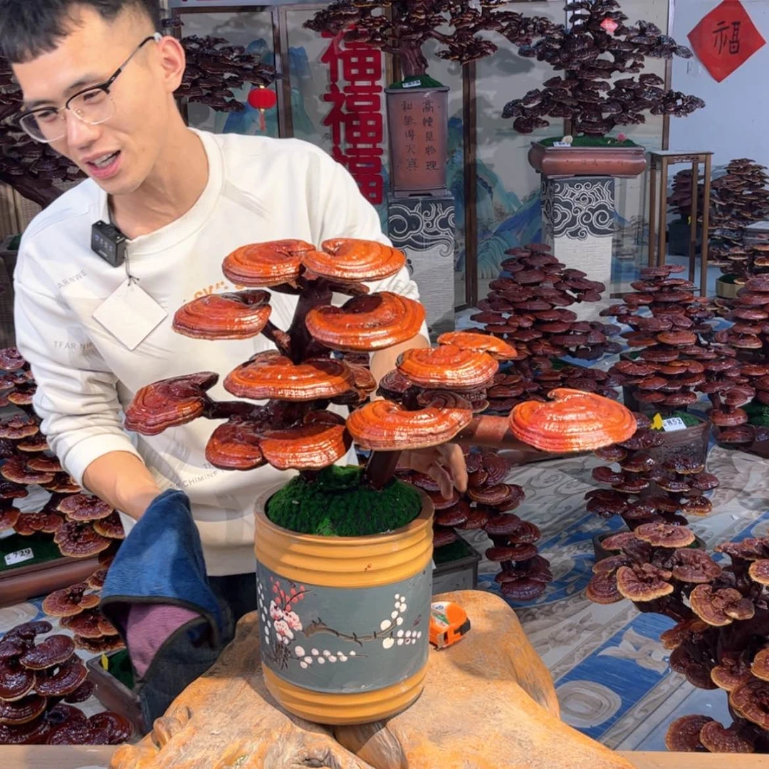 【闪购商品】888888