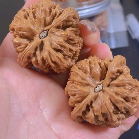 核桃手串/手链天*大粗筋文玩核桃shou ba j
