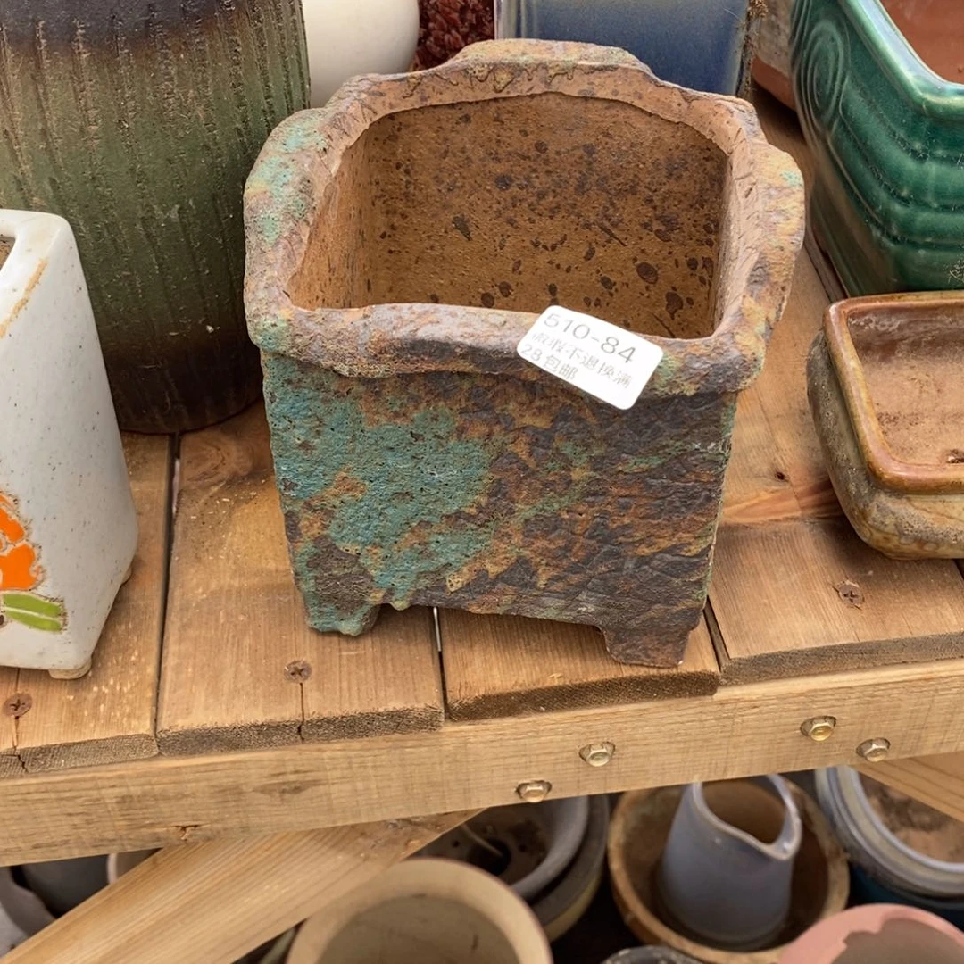 陌**开84号多肉盆一个呀