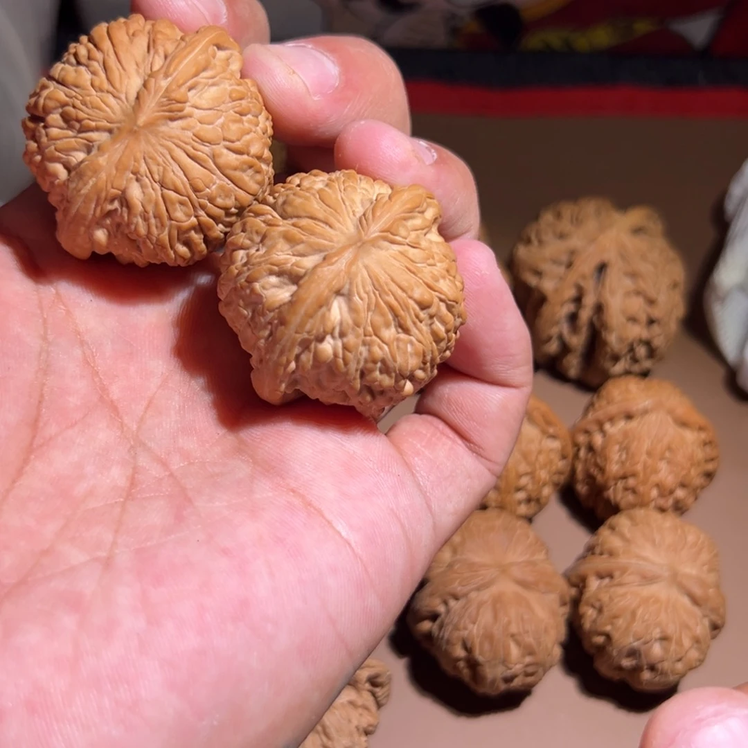 中*104石子蘑0000000000