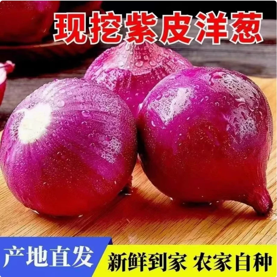 [新鲜现挖]云南建水精品生态紫皮水果洋葱脆甜多汁（可生吃）