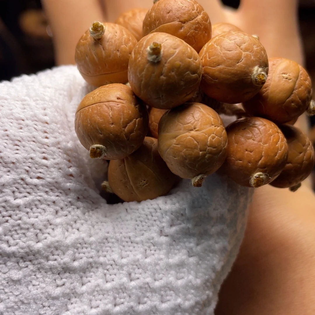 手串凤眼菩提菩提713