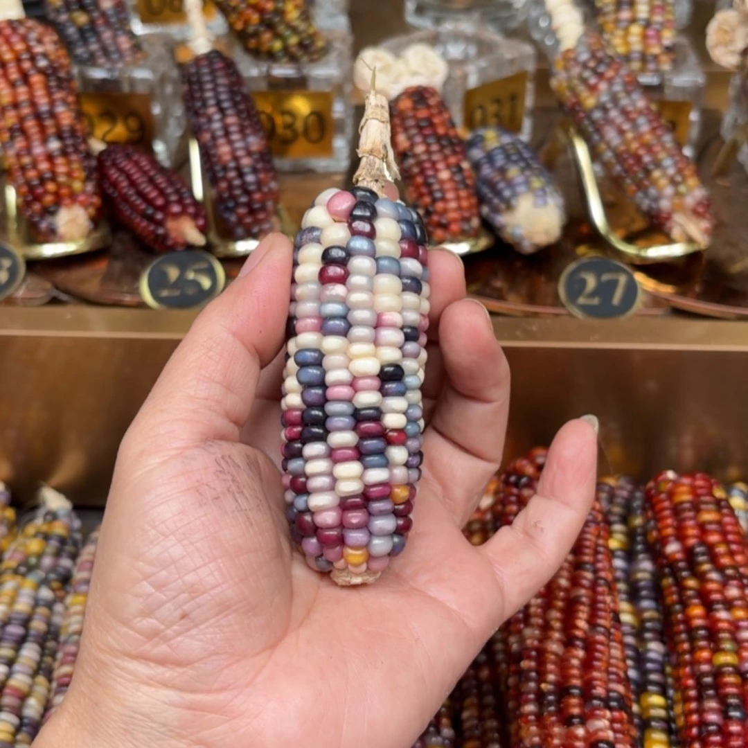 柏香籽/百香籽吊坠慧