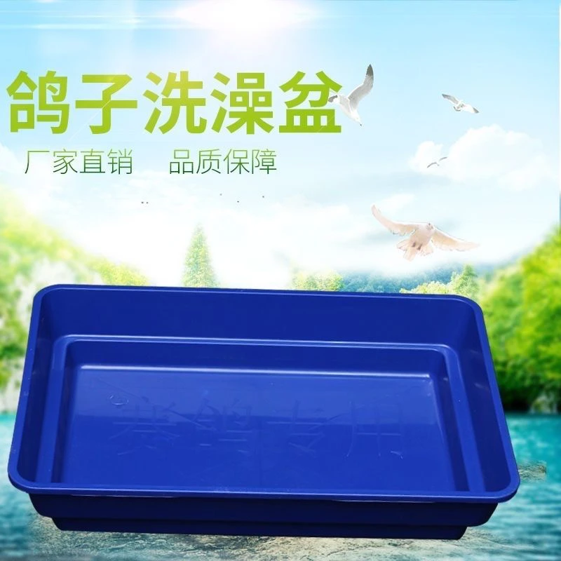赛鸽专用塑料洗脸盆