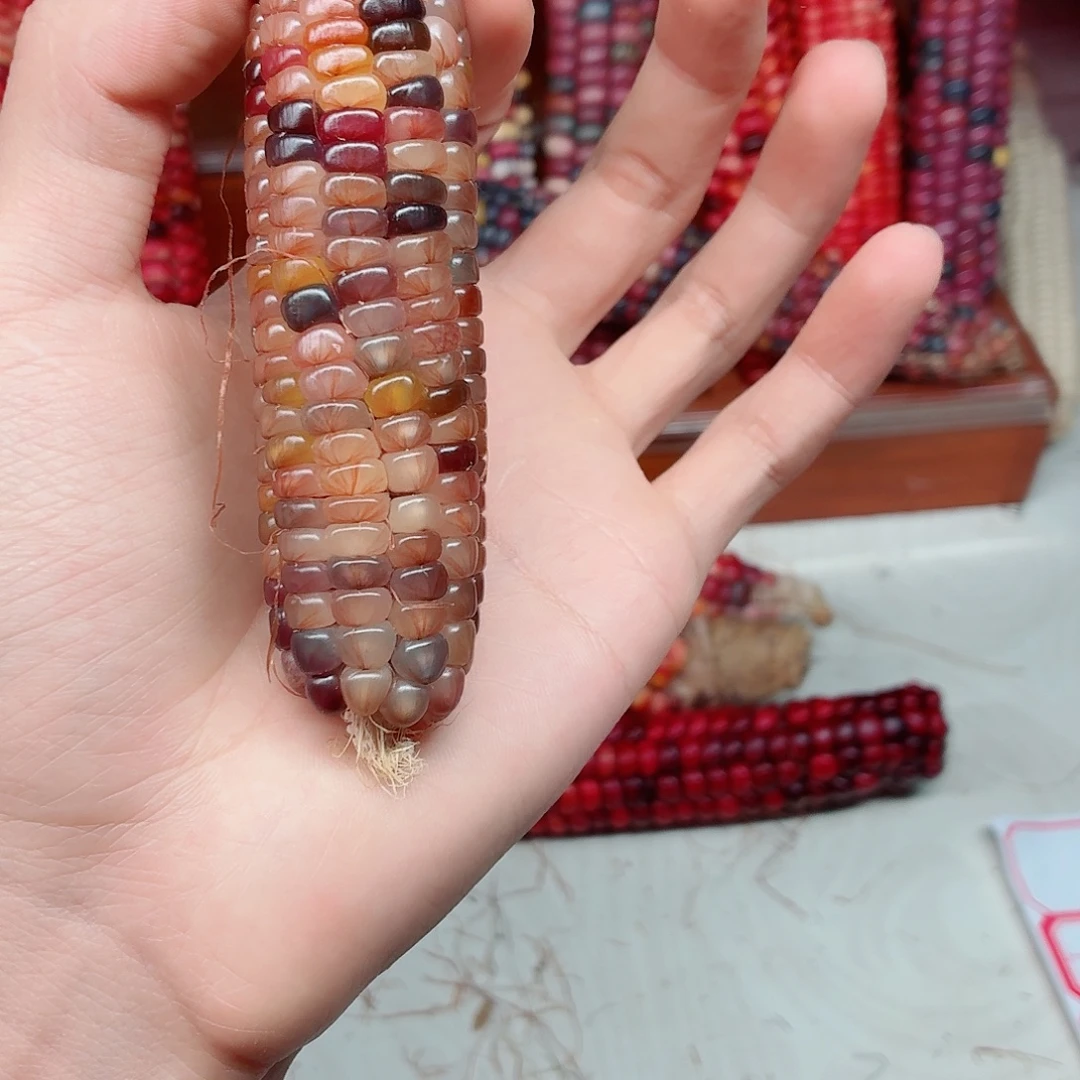 明***色吊坠白玉菩提文玩玉米毛料精品