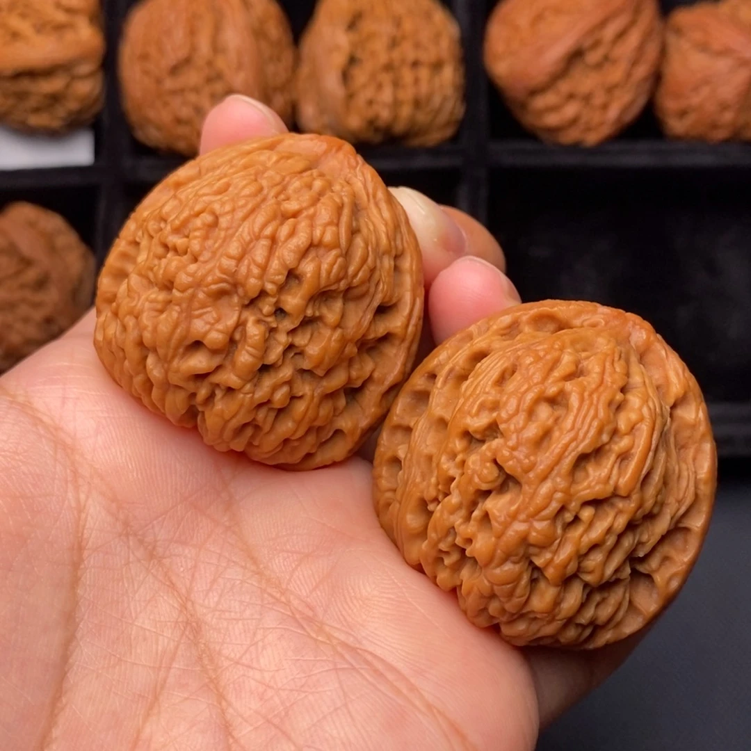 秦岭野生文玩核桃