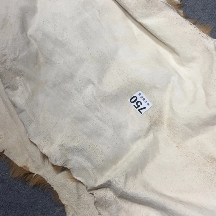 江*精品瓷器精品系列