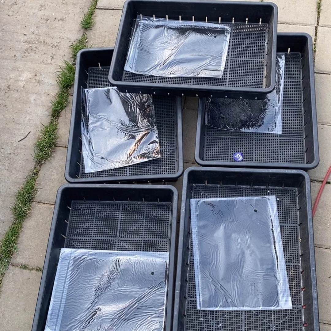 红陶红红火火过大年一个筐