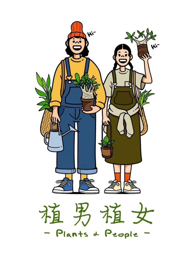 精品秋海棠一颗一物一拍