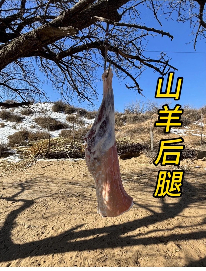 羊后腿骨肉羊肉(去油淋巴)【包邮】